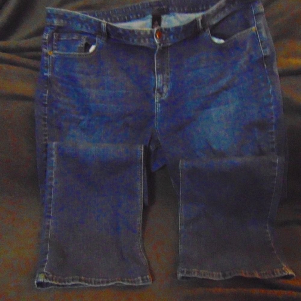 Lane Bryant Blue Jeans